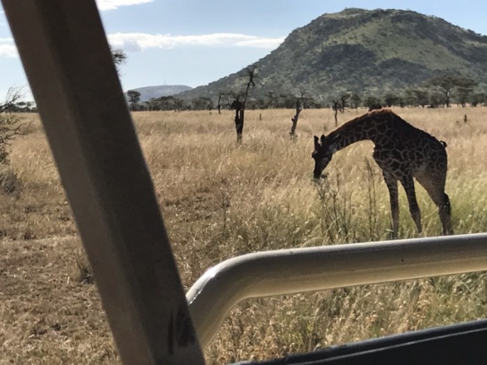 Luxury safari lodge in Serengeti with all-inclusive package