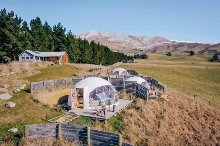 Glamping site with luxury tents in New Zealand