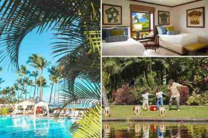Maui Activities for Kids - Visiting Hawaii with Children