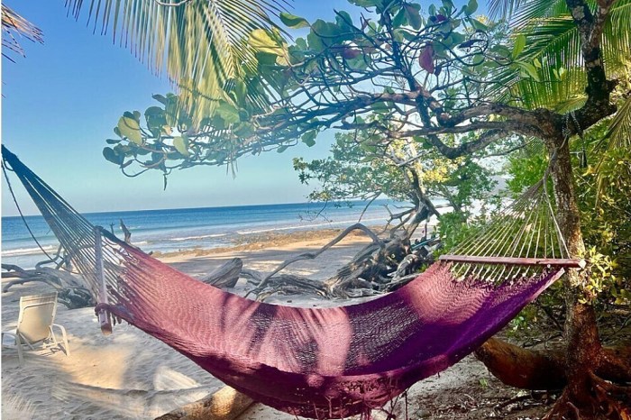 Wellness retreat in Costa Rica with detox programs