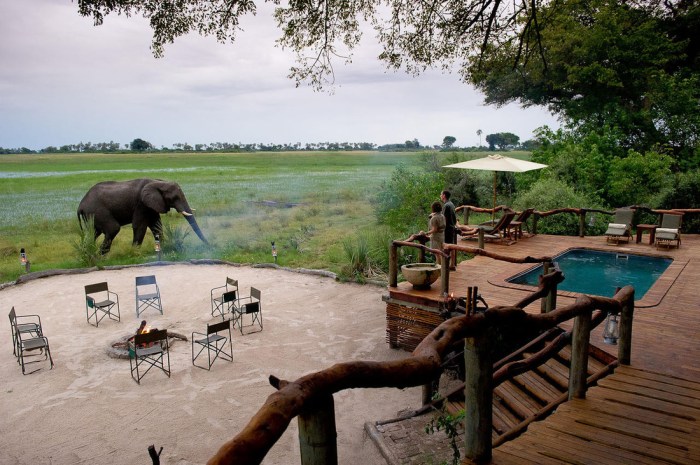 Safari camp in Okavango Delta with wildlife tours