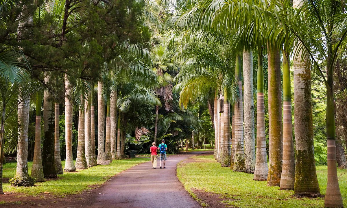 Beachfront hotel in Mauritius North Coast