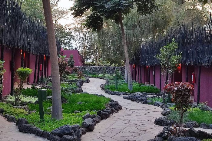 Luxury lodge in Kenya Amboseli with safari tours