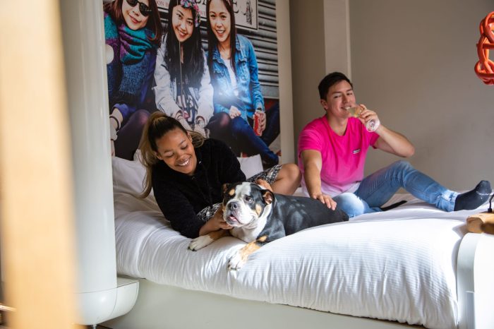 Pet-friendly hotel in London Kensington