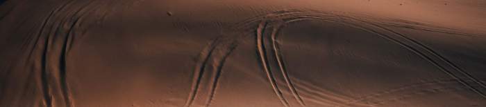 The BEST Doha Desert Safari Trips 2026 – Shouf