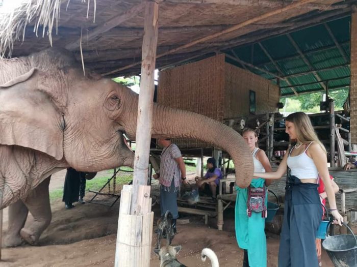 Eco jungle resort in Chiang Rai with elephant sanctuary
