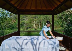 Luxury spa resort in Bali Ubud