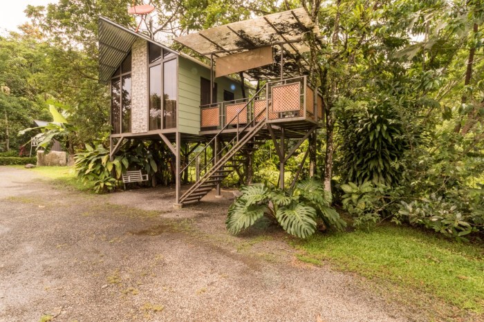 Romantic treehouse retreat in Costa Rica