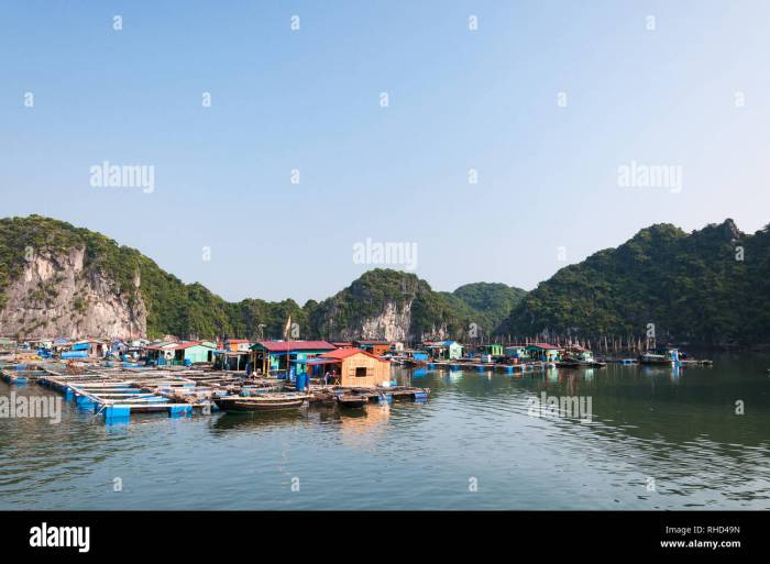 Floating hotel in Ha Long Bay with limestone views
