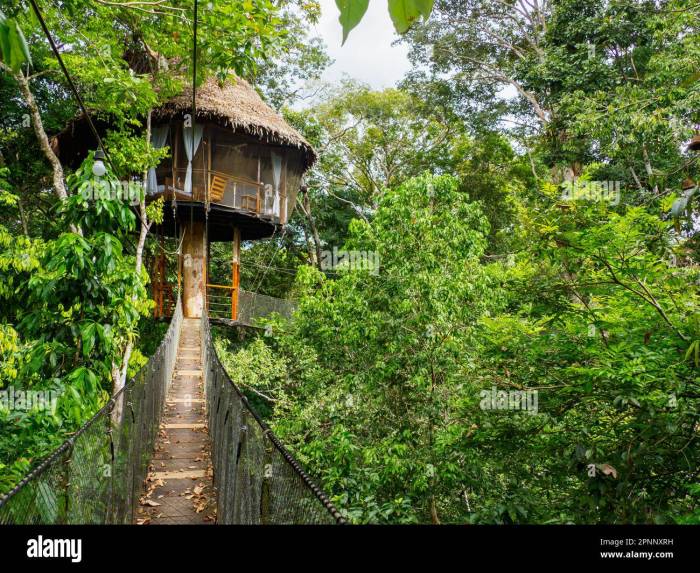 Glamping accommodation in the Amazon rainforest. Wooden treehouse ...
