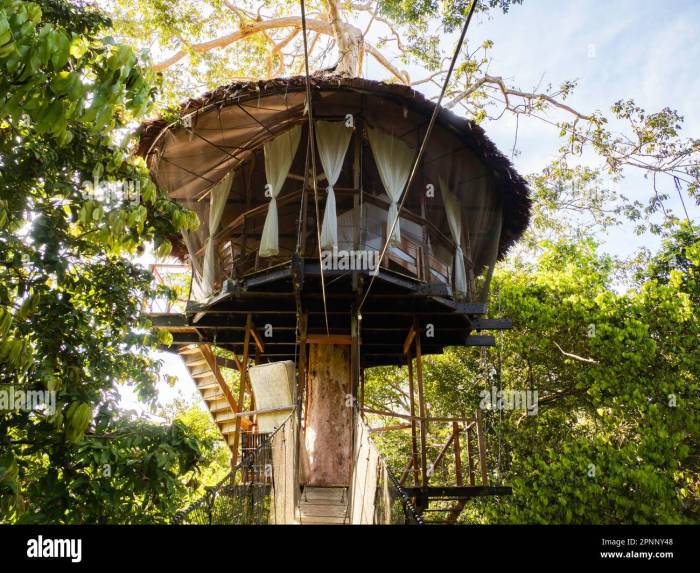 Treehouse lodge in Amazon rainforest with guided tours