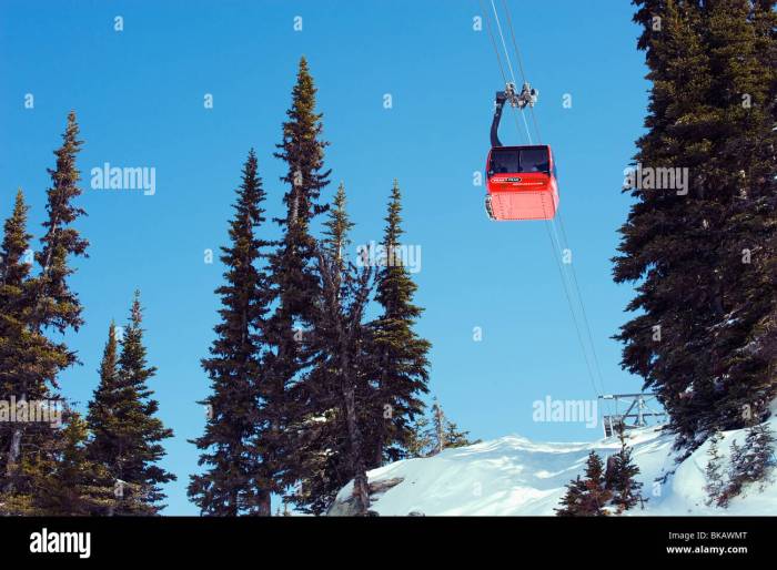 Ski resort in Whistler with mountain gondola access
