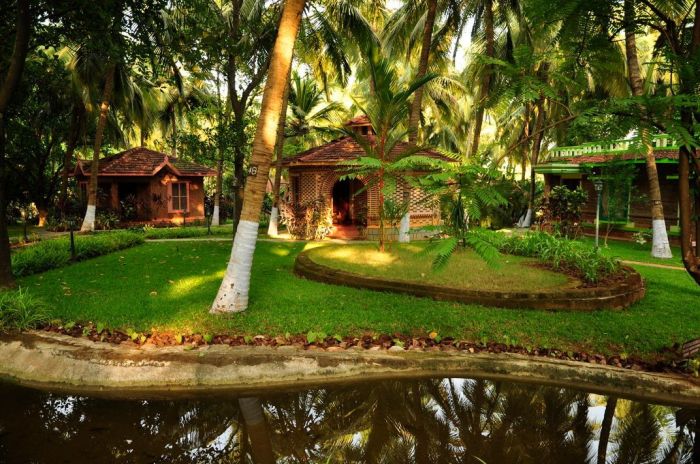 Kerala: An Ayurveda retreat in the heart of God's own country ...