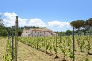Villa Buggiano Luxury Villa Rental - Tuscany, Italy | TLTB