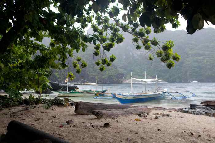 Beach resort in Palawan with island hopping tours